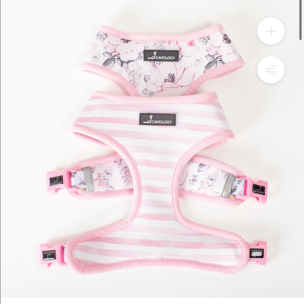 Cavology Reversible harness and leash